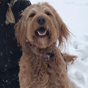 Meet your Posher, Katie